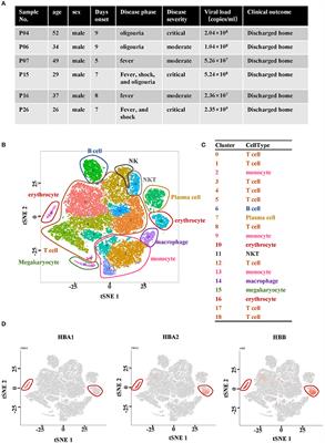 The Presence of Circulating Nucleated Red Blood Cells Is Associated With Disease Severity in Patients of Hemorrhagic Fever With Renal Syndrome